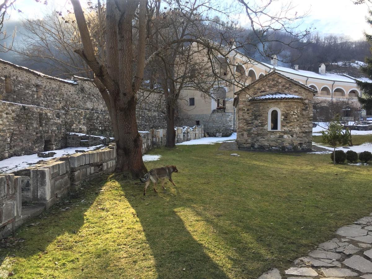 Prenociste Dm5 Bed and Breakfast Novi Pazar Eksteriør billede
